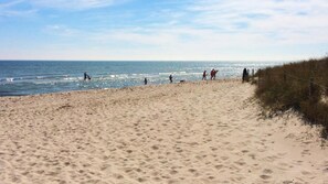 Playa
