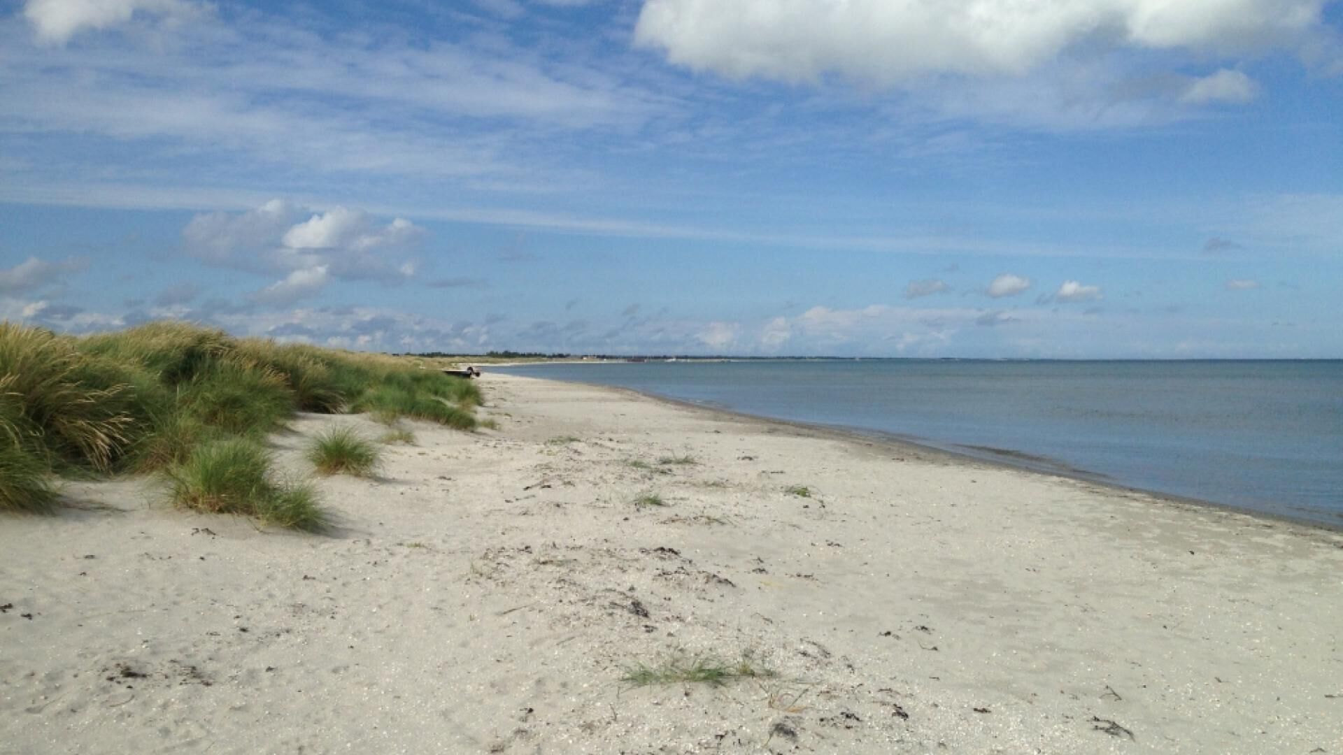 Ein sandiger Strand mit Dünen und ruhigem Meer.