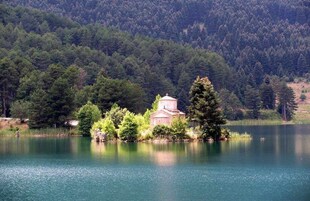 Apartment | 1 bedroom, Internet