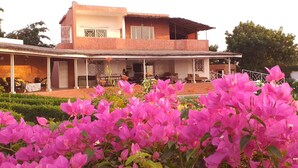 A two-story house with a covered porch and a garden with pink bougainvillea flowers. - CHARMING VILLA in SOMONE Private Pool, Beautiful Garden! Lagoon & Mangrove (Somone)