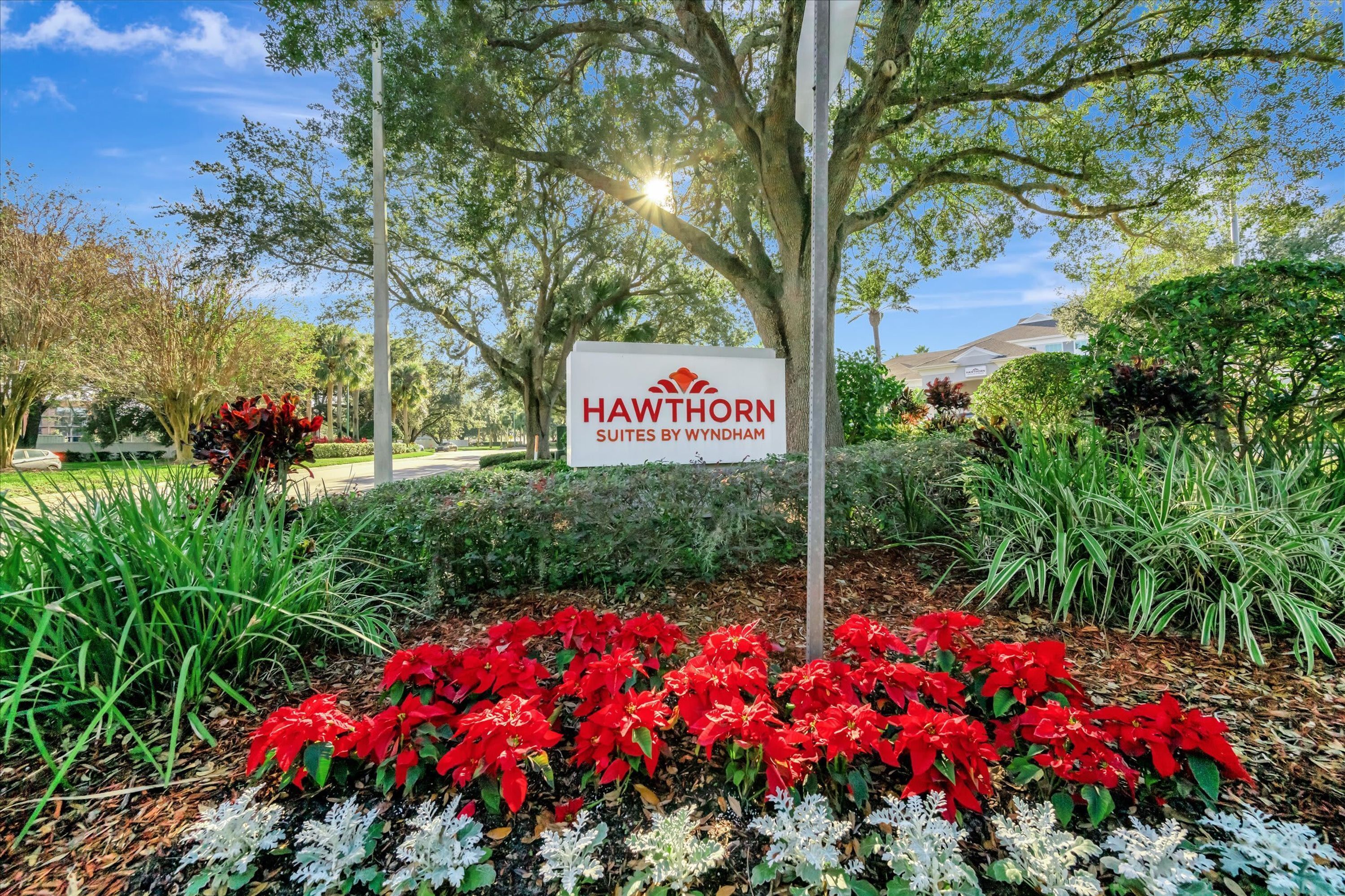 Apartment, Accessible | 1 bedroom, Internet