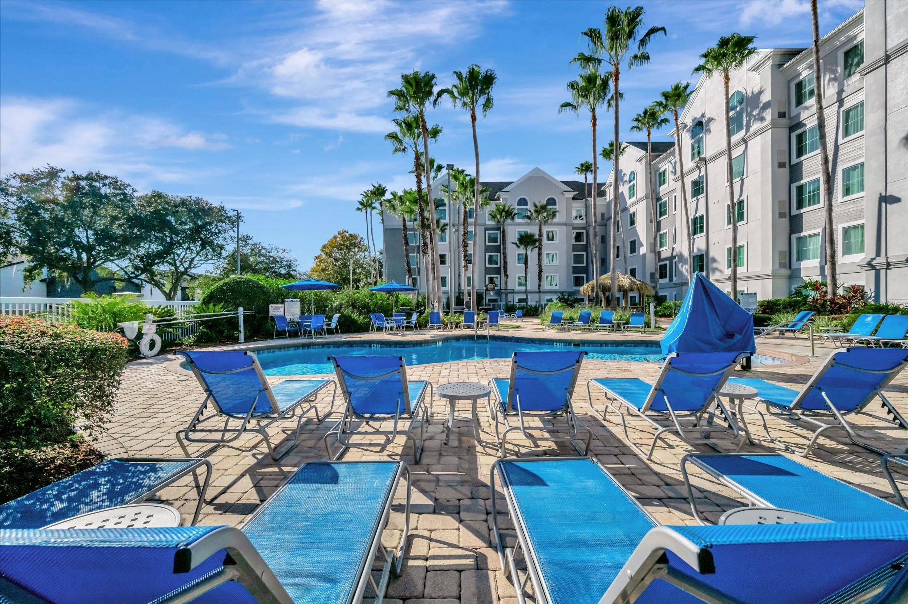 A pool area with blue lounge chairs and palm trees.