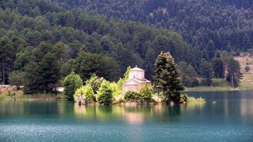 Lejlighed | 1 soveværelse, internet