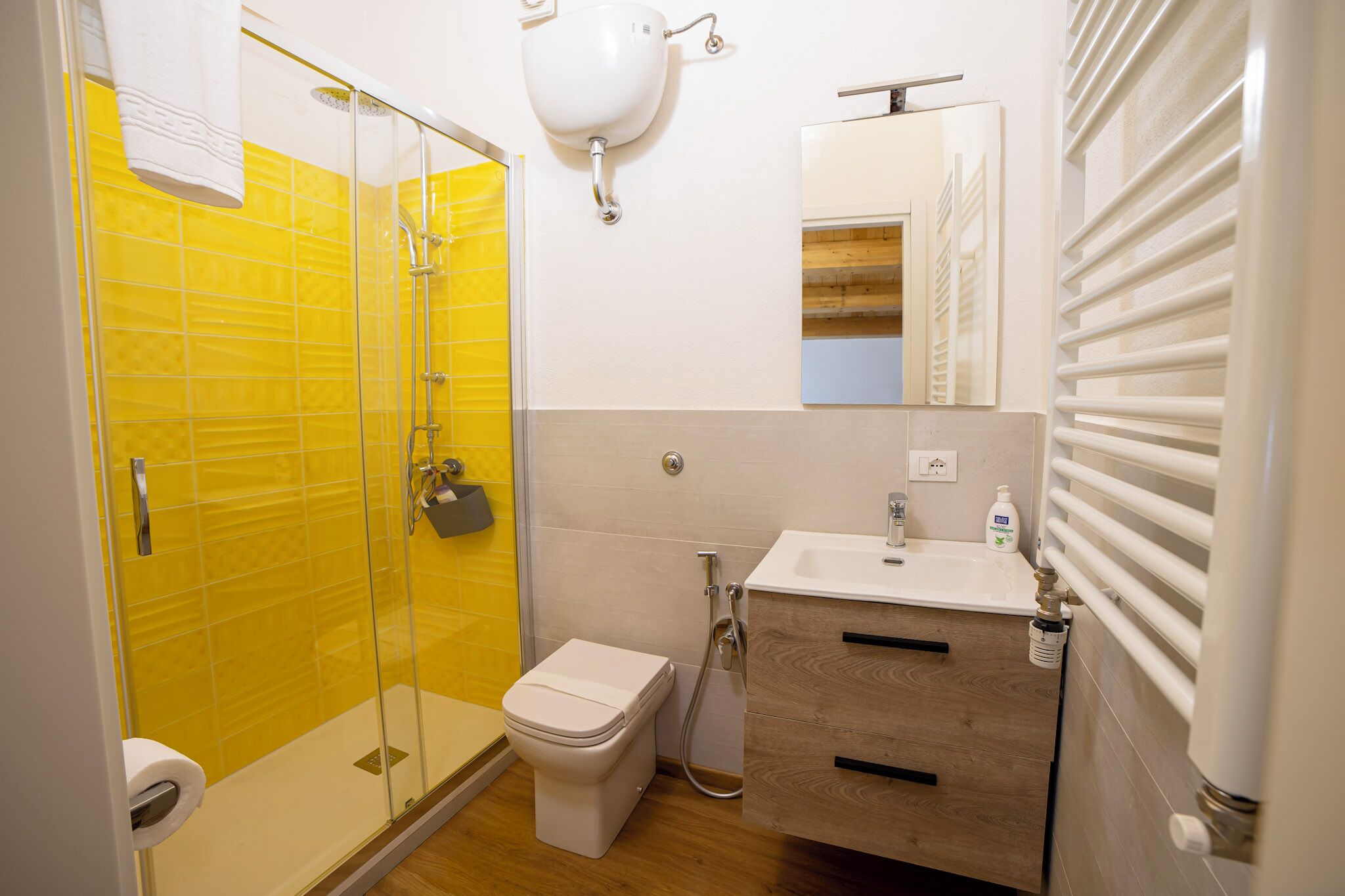 Een badkamer met een douche met glazen wand, een toilet en een wastafel met een spiegel erboven.