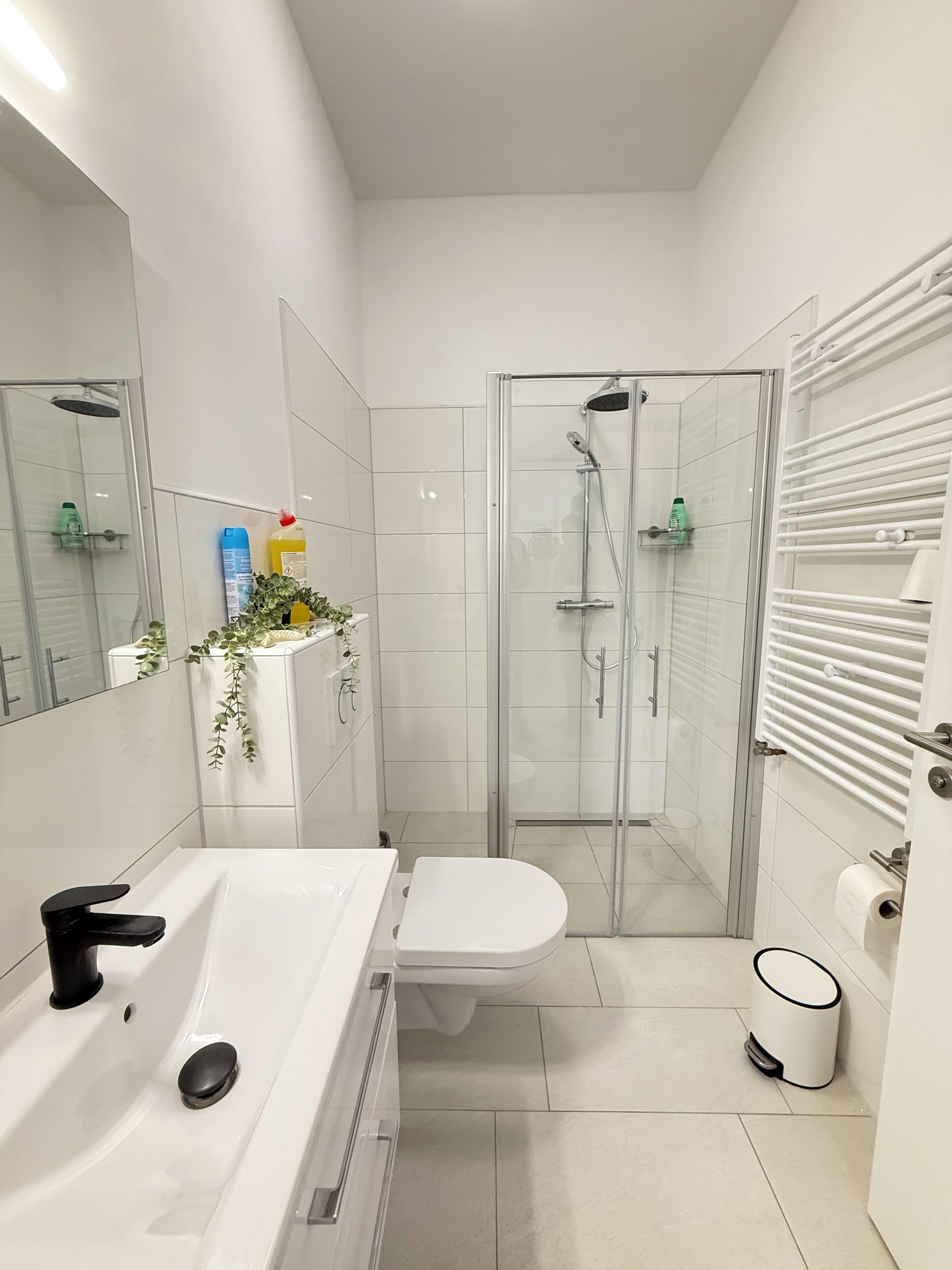 Dusche, Handtücher, Seife, Toilettenpapier