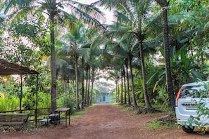 Jardines del alojamiento