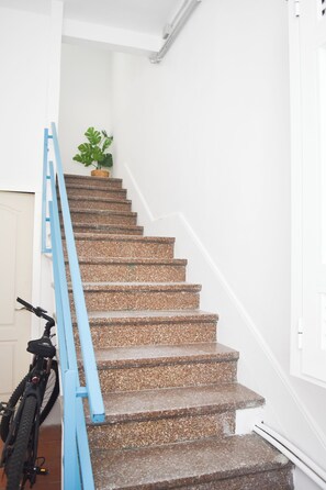 Una escalera con barandilla azul, una planta en maceta en la parte superior y una bicicleta apoyada en la pared.