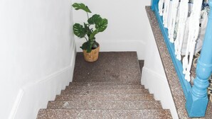 A staircase with a blue handrail and white balusters, leading to a landing with a potted plant. - La Isleta Nest Hostel (Las Palmas de Gran Canaria)