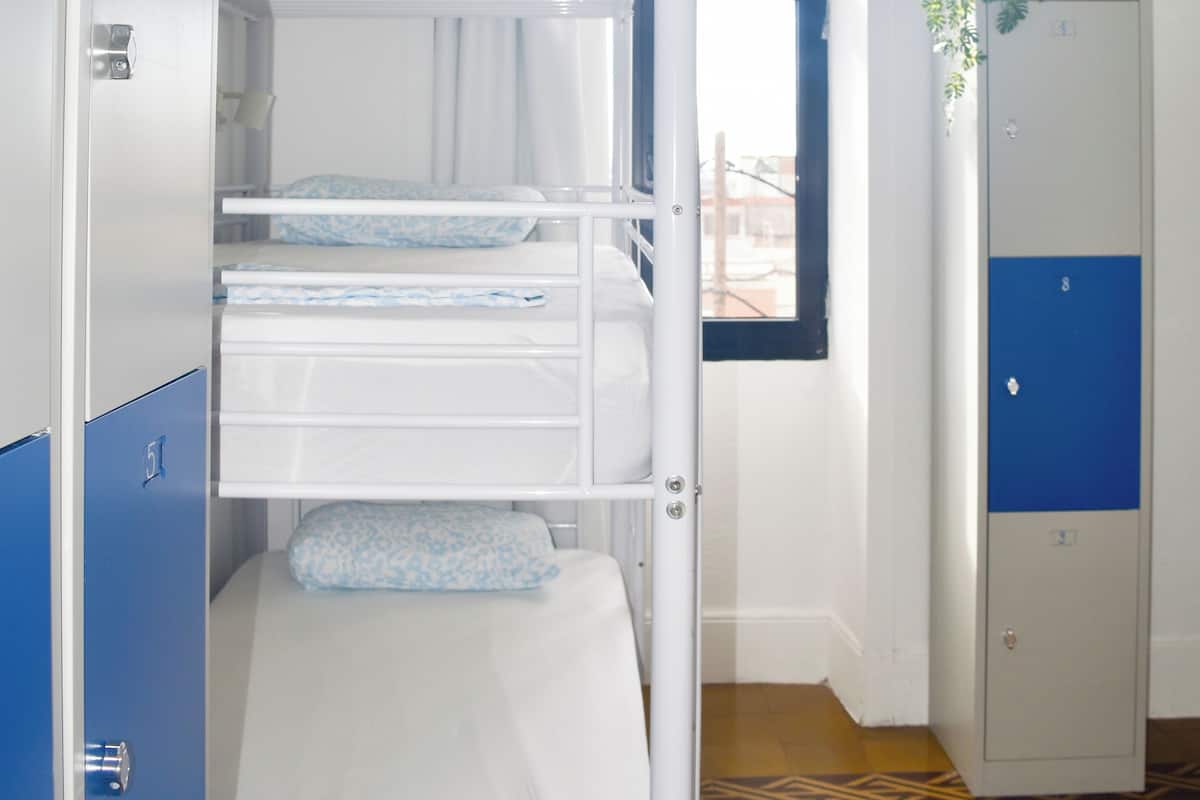 واي فاي مجانًا