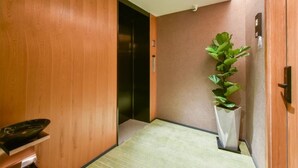 Un couloir aux murs en bois, un tapis vert sur le sol, une plante en pot et un objet noir posé sur une étagère.