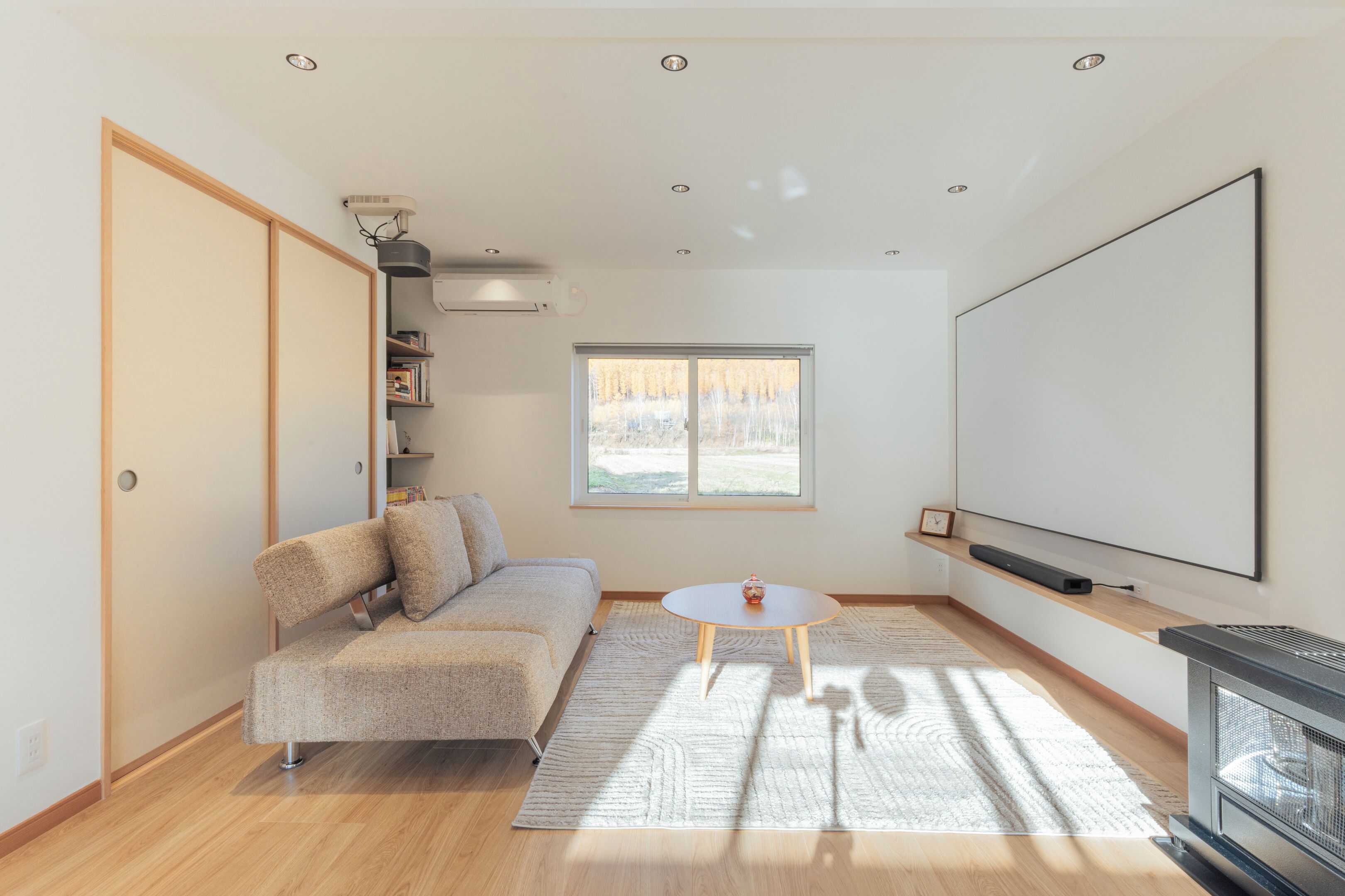 Smart TV, fireplace, books, computer monitors