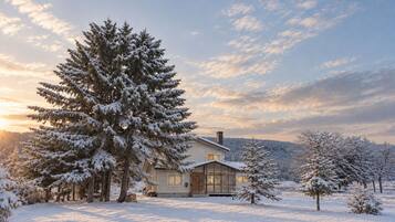 A house surrounded by snow-covered trees.