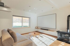 Smart TV, fireplace, books, computer monitors