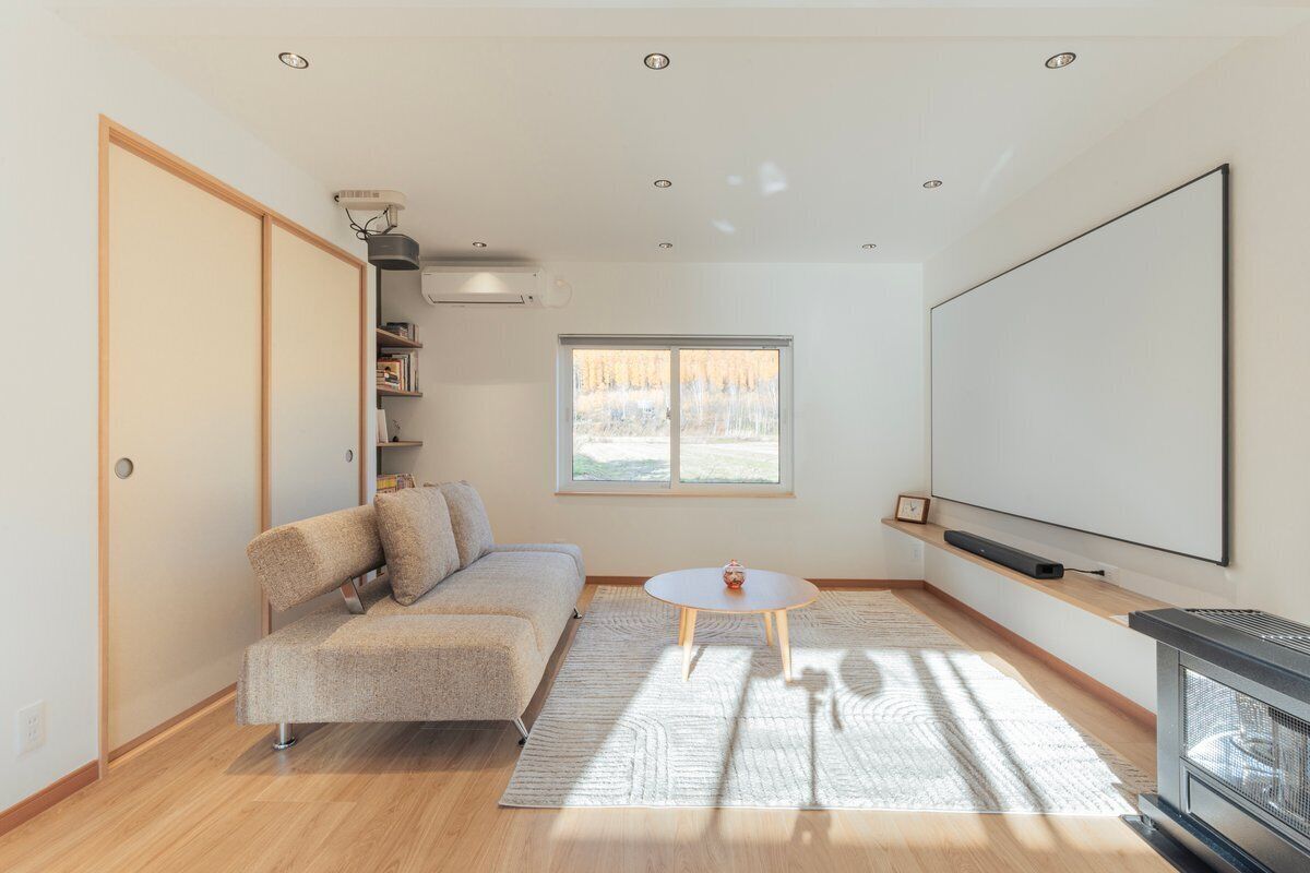 Smart TV, fireplace, books, computer monitors