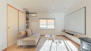 Smart TV, fireplace, books, computer monitors