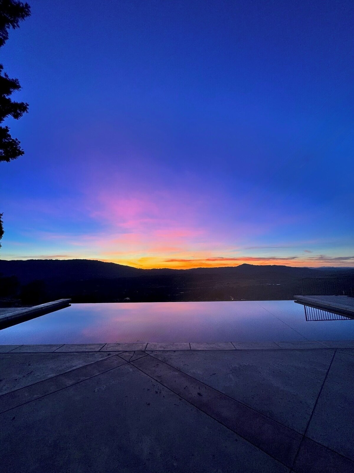 Imagen de perfil del propietario o de la propietaria