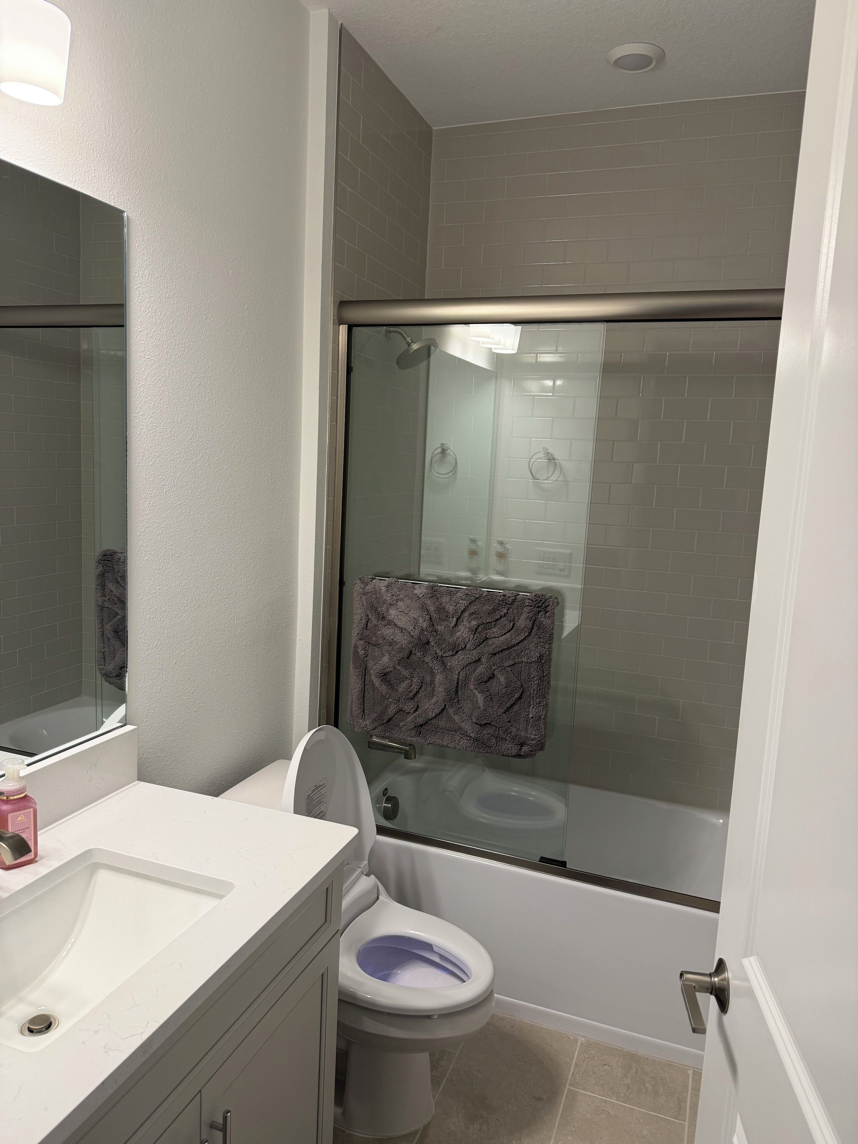 Shower, hair dryer, bidet, towels