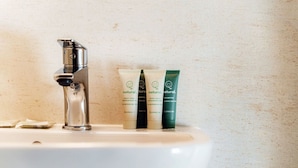 A bathroom sink with a chrome faucet and three tubes of body soap and shampoo. - <p><strong>Near the lake and the center (FLORIDA ASCONA Room 12)</strong></p><p>Just a few steps from the center and the charming lakeside promenade of Ascona, FLORIDA ASCONA Room 12 welcomes guests into a refined and comfortable setting, ideal for disco (Ascona)