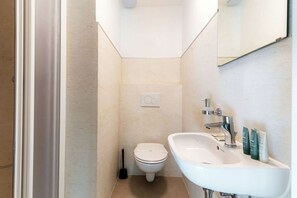 Shower, towels - Near the lake and the center (FLORIDA ASCONA Room 15) (Ascona)