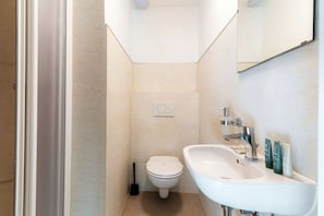 Shower, towels - Near the lake and the center (FLORIDA ASCONA Room 15) (Ascona)