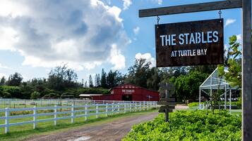 Villa, 4 Bedrooms | Property grounds