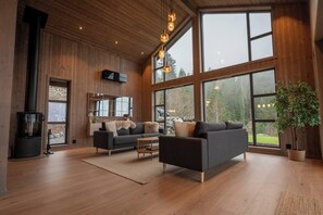 Living room - Luxury Cabin, Wellness and View Over the Tyrifjord (Modum)