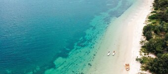 Absolute Birubi Beachfront - Luxury Pet Friendly