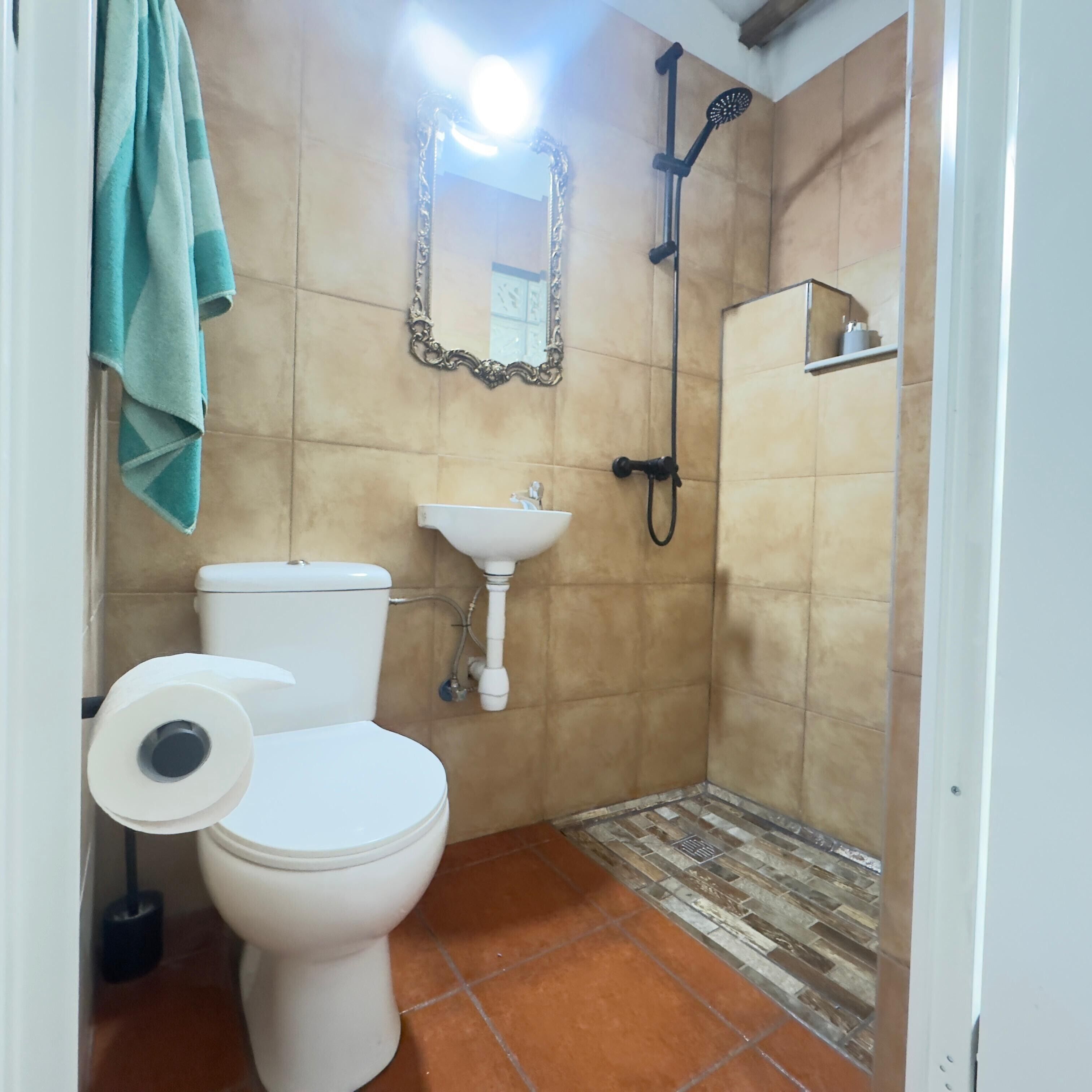 Un baño con inodoro, lavamanos y ducha.