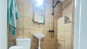 Un baño con inodoro, lavamanos y ducha.