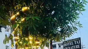 A tree with string lights, a sign for 'HOTEL TAI SIGNATURE', and potted plants. - Hotel Taj Signature (Agra)