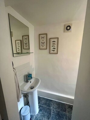 Apartamento, 1 habitación, fumadores | Baño