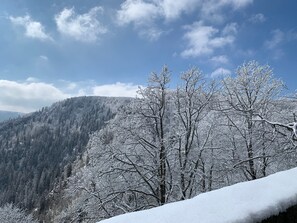 Miscellaneous - Gîte "Le Panorama" – Charming Apartment with Terrace in Soultzeren (Soultzeren)