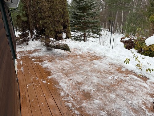 The Nest, a spacious, secluded pet-friendly retreat!