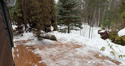 The Nest, a spacious, secluded pet-friendly retreat!