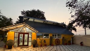 Een gebouw met een pannendak, een klein portaaltje met een glazen deur en verschillende potplanten.