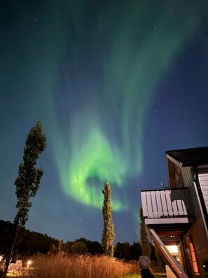 المنطقة المحيطة بالمنشأة