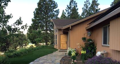 Luxury Cabin Rental with a Fire Pit in Coulterville, California