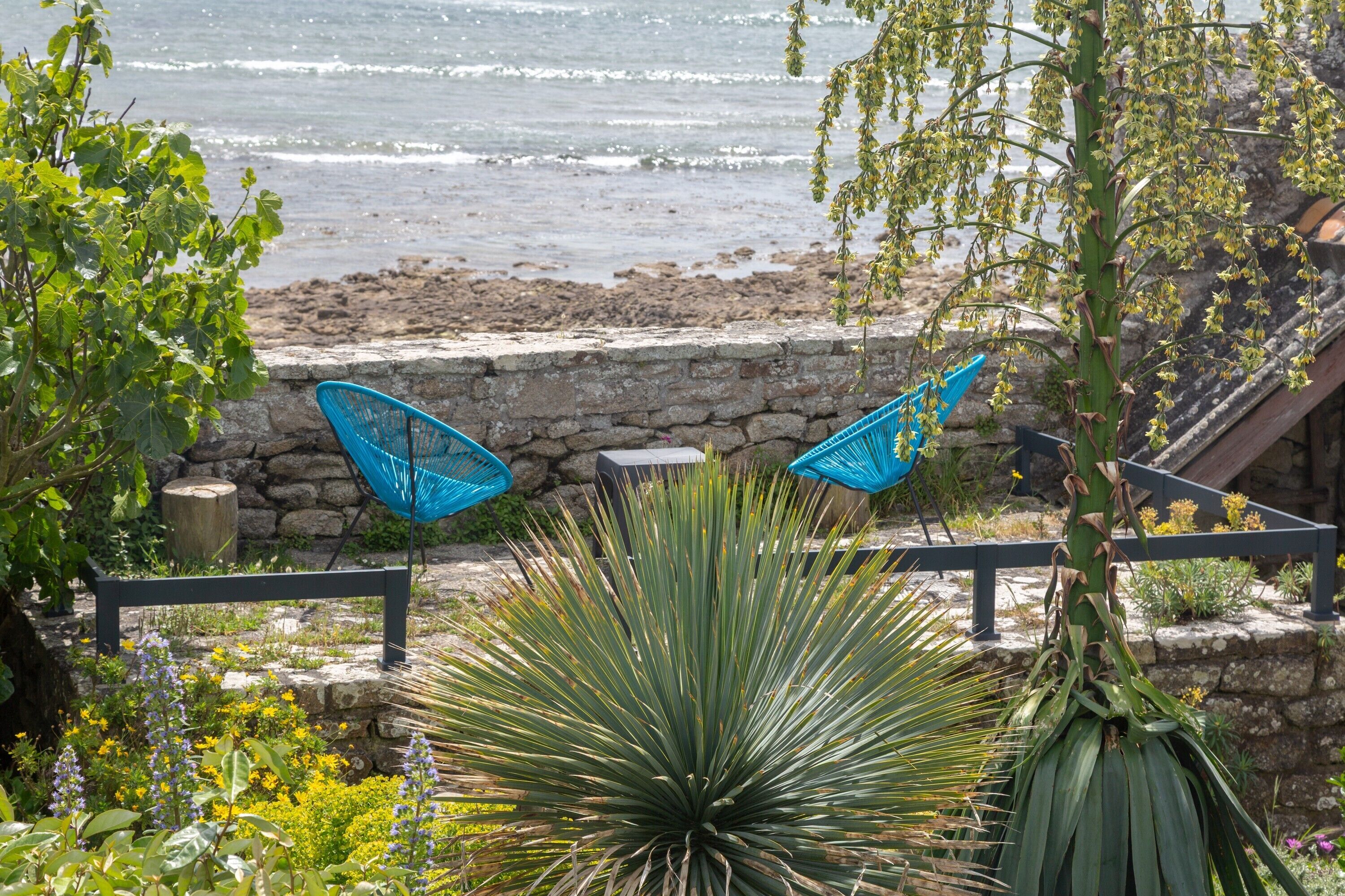 Un giardino costiero con un muro in pietra, una panchina e vista sull'oceano.