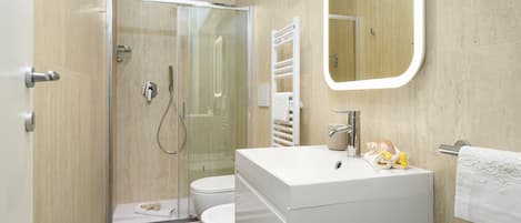 Shower, hair dryer, bidet, towels