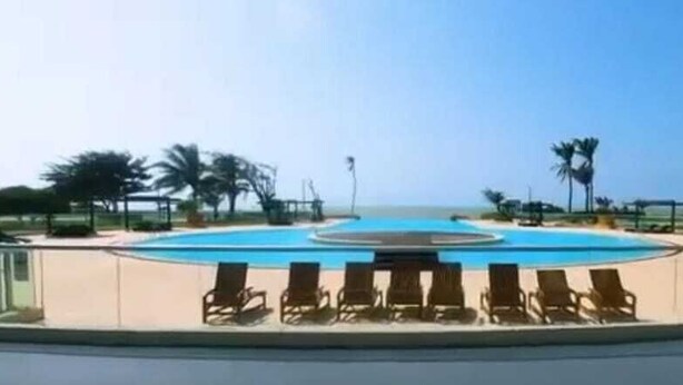 Un área de piscina con sillas de descanso y palmeras.