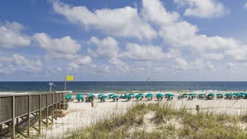 Playa en los alrededores