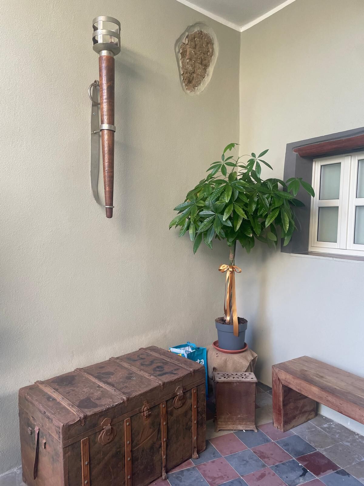 A corner room with a wooden chest, a potted plant, a wall-mounted light fixture, and a window.