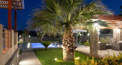 Luxurious Villa David