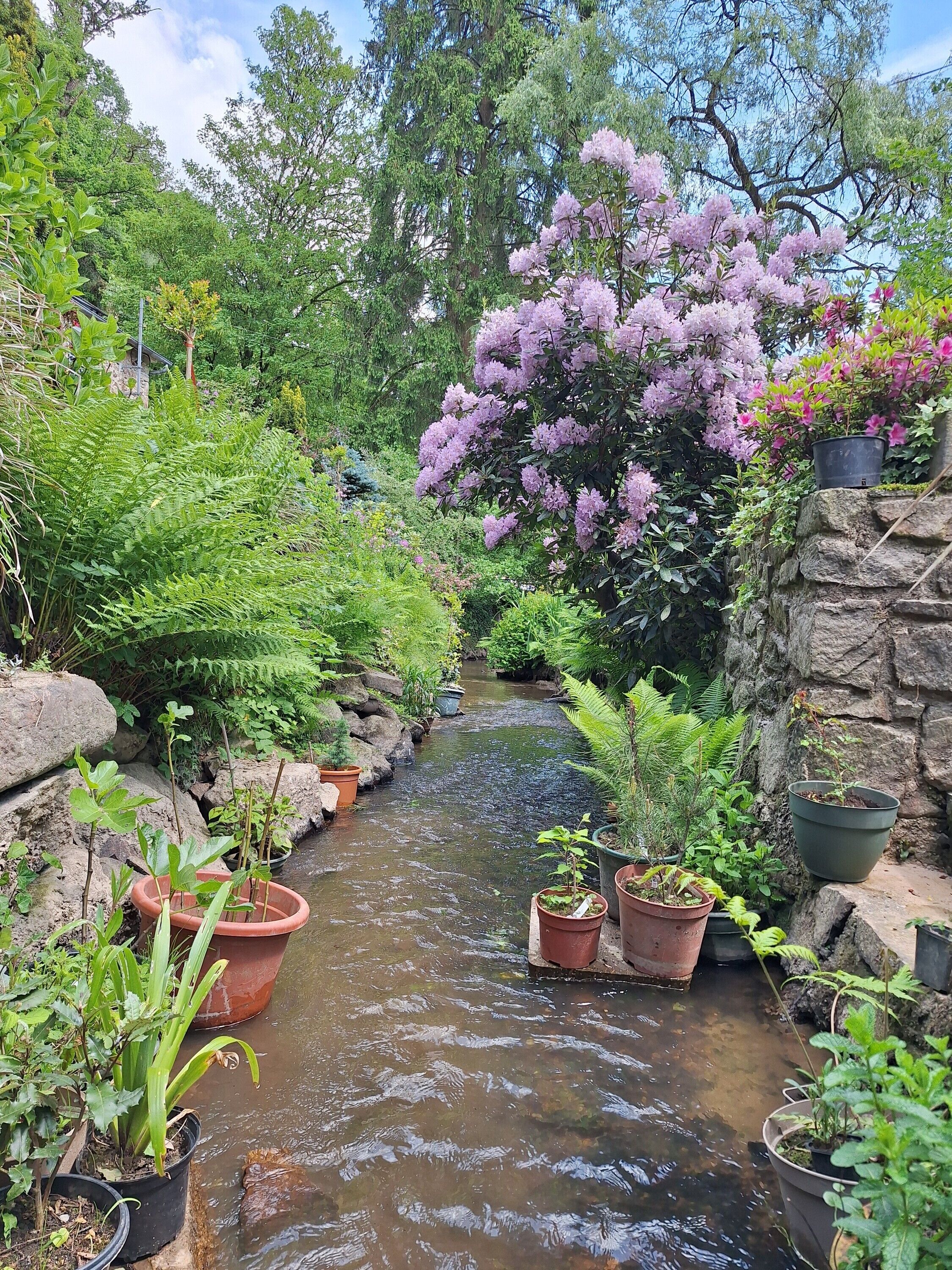 Parco della struttura