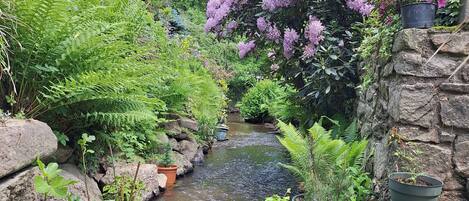 Overnatningsstedets område