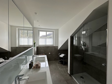 Shower, hair dryer, towels. Apartment 'Zum Wilzenberg' with Mountain View, Balcony and Wi-Fi