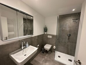 Ein modernes Badezimmer mit einer Duschkabine, einem weißen Waschbecken und einer Toilette.