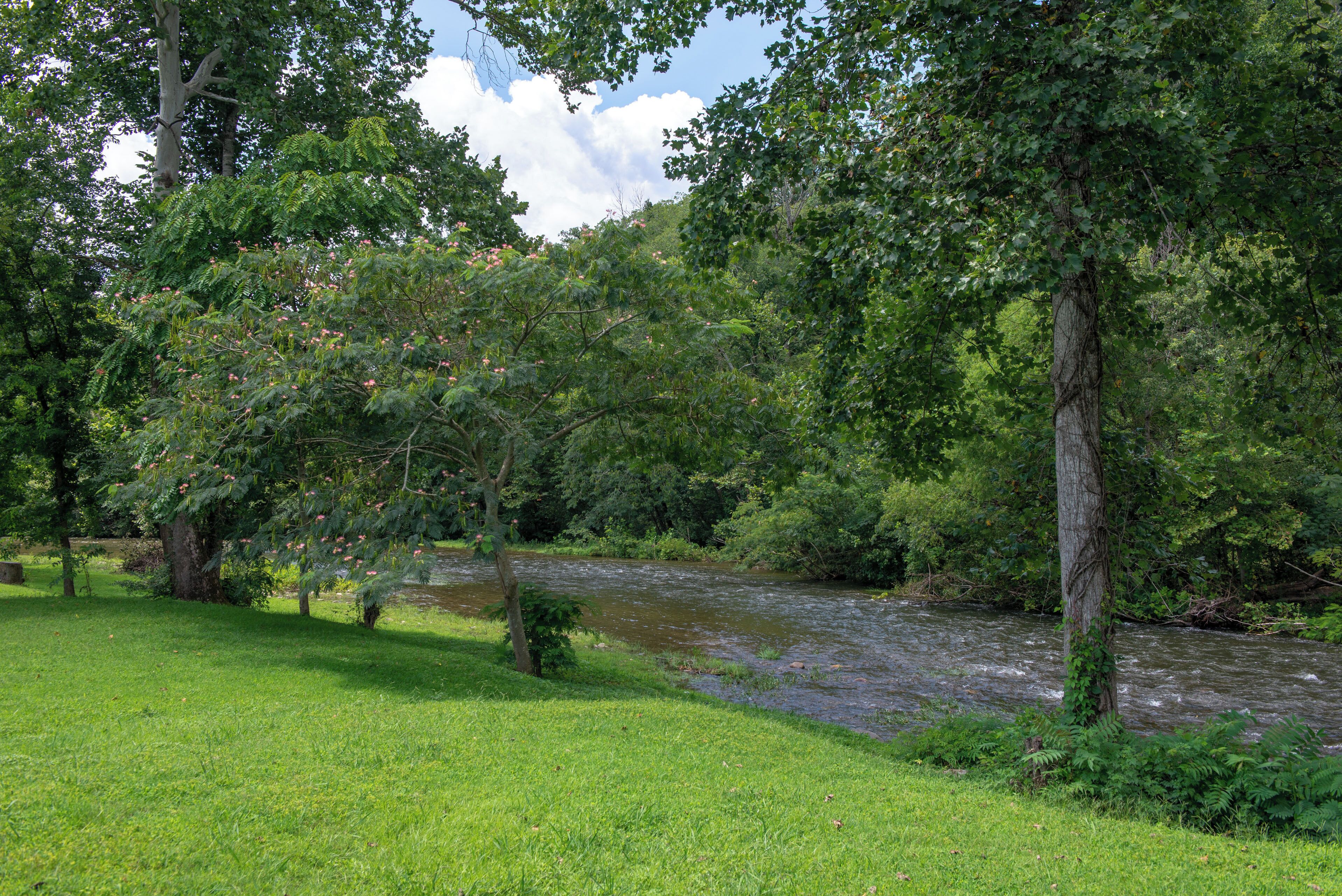 A river flowing through a lush, green landscape with dense trees and a grassy bank.