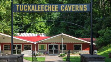 Apartment (0 Bedroom) | Interior