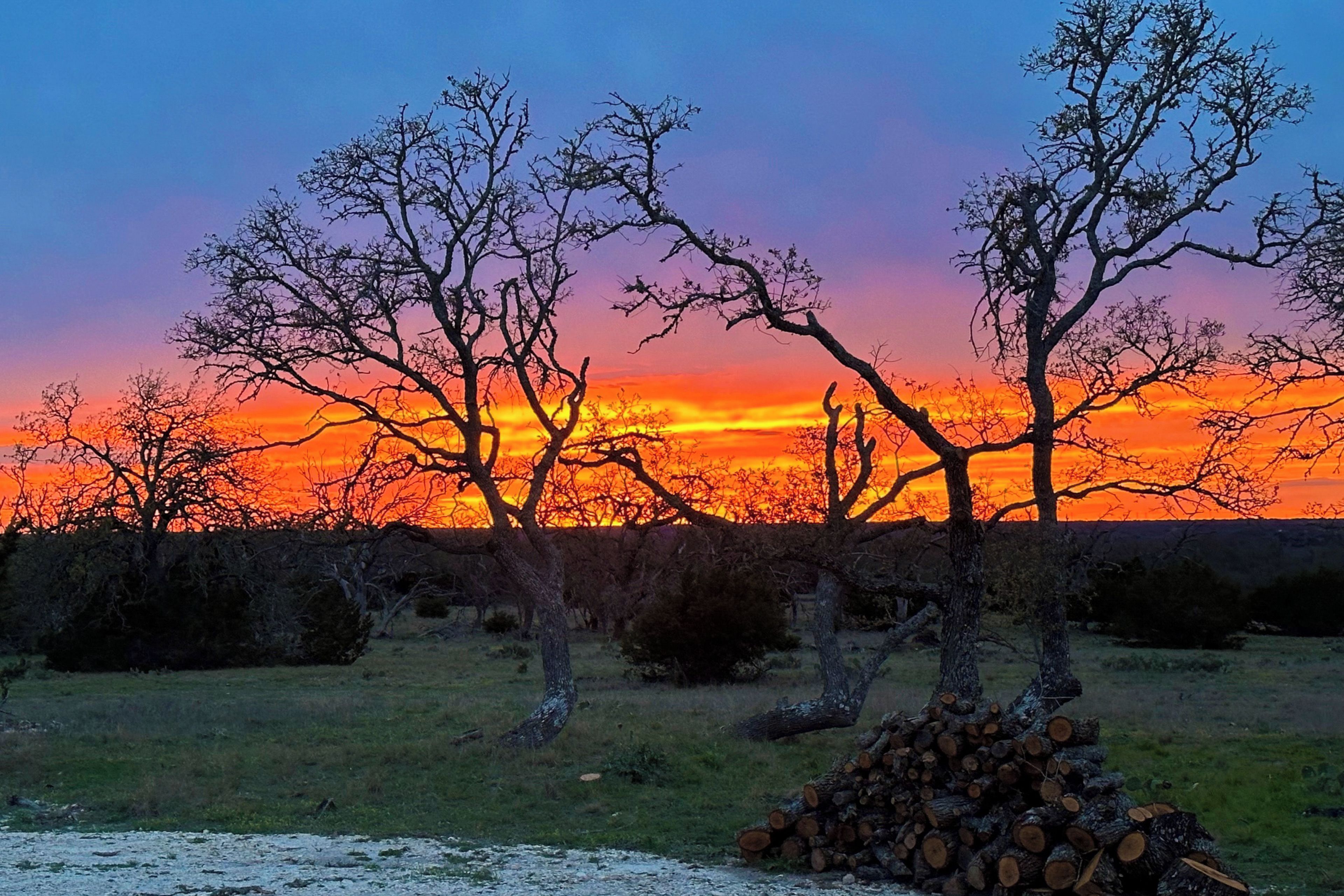 Un atardecer sobre un campo con árboles desprovistos de hojas y una pila de leña.